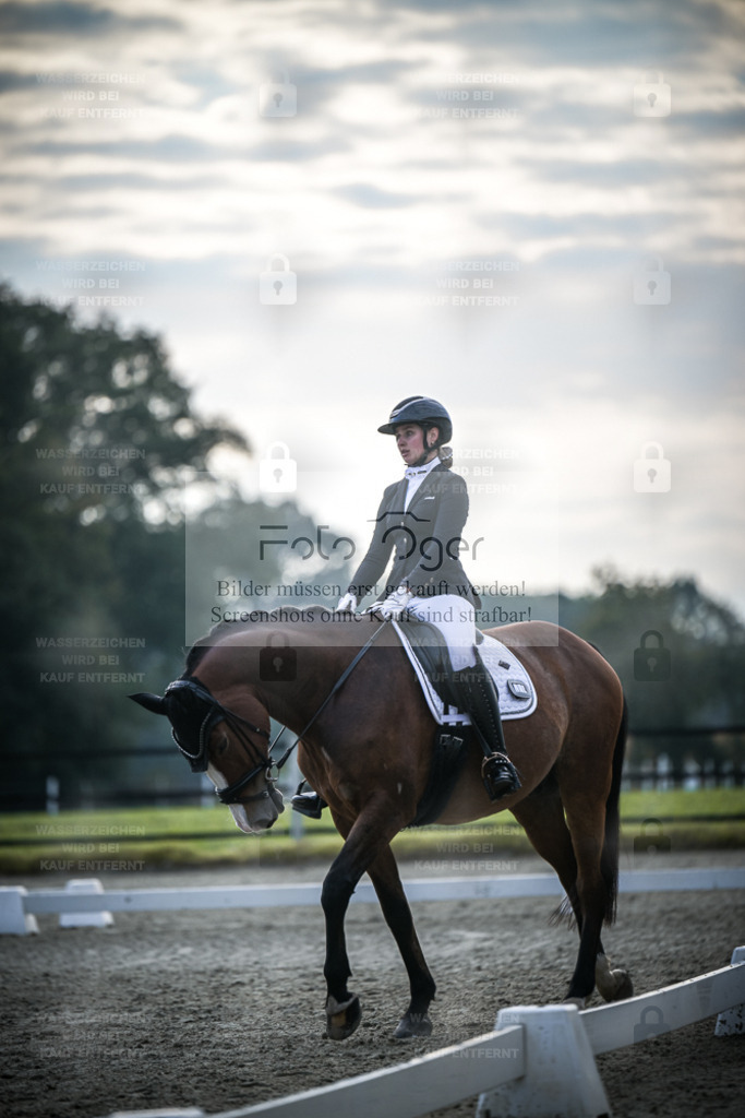 DOS_4088 | Entdecke hochwertige Reitturnierfotos von Foto Oger. Professionell, emotional und authentisch – jetzt Lieblingsmomente im Shop bestellen. - Realisiert mit Pictrs.com