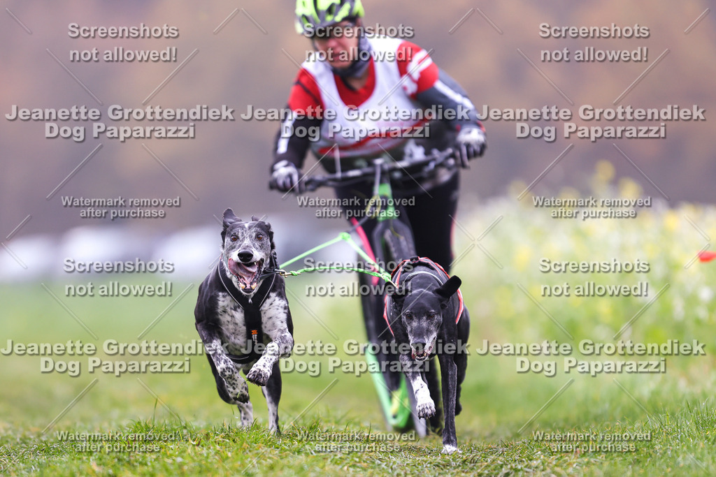 Dog Paparazzi - Visbeck 25 -81 | Dog Paparazzi Jeanette Grottendiek Fotografie & Videografie - Realisiert mit Pictrs.com