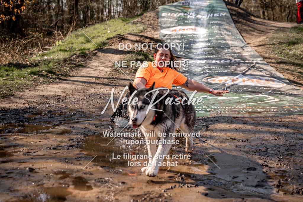 nelerasche_Hulsbeek_So1230-1300_166 | nelerasche