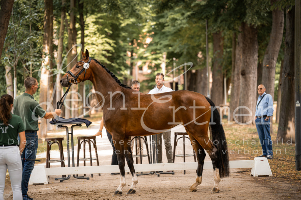 FrPfM00141 | Leoni Ertmer Photography - Realisiert mit Pictrs.com