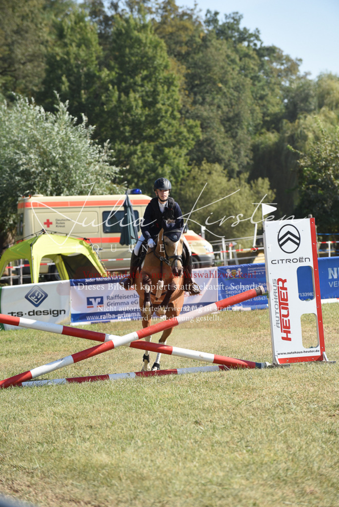 DSC_5982 | Pferde- und Turnierfotografie in Westsachsen. Pferdeportraits, Auftragszeichnungen und intuitive Kunst.