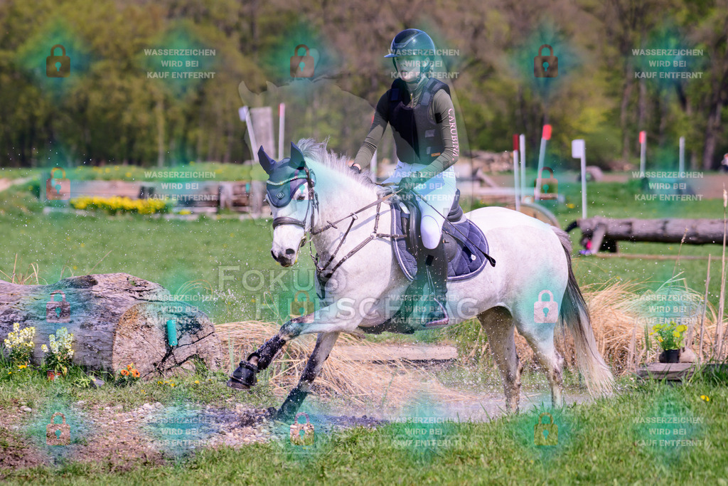 18042026-Gernlinden-01-1-0317 | Fokus Hufschlag Fotografie - Realisiert mit Pictrs.com