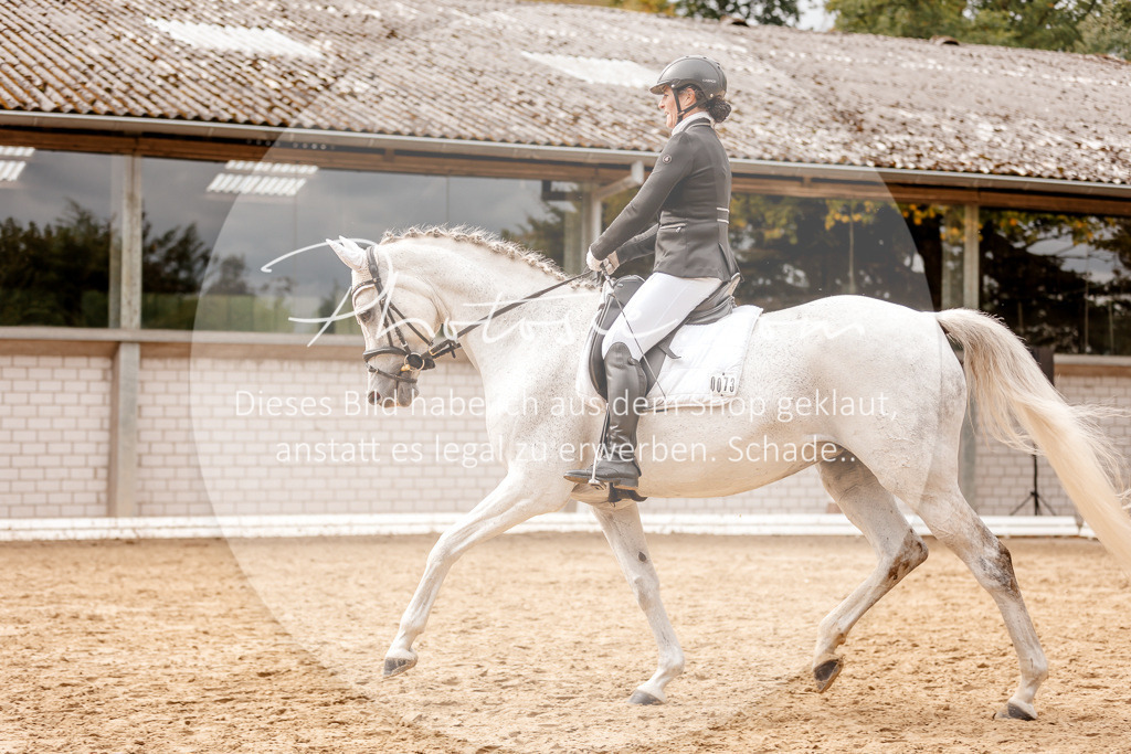 3I6A7797 | Stimmungsvolle Portraits und Reitsportfotografie im Ruhrgebiet und im Münsterland.

Pferdefotografie, Hundefotografie, Tierfotografie, Reportagen, Portraits von Tier und Mensch, Turnierfotografie in Bochum, Recklinghausen, Marl, Haltern am See, Dülmen.. - Realisiert mit Pictrs.com