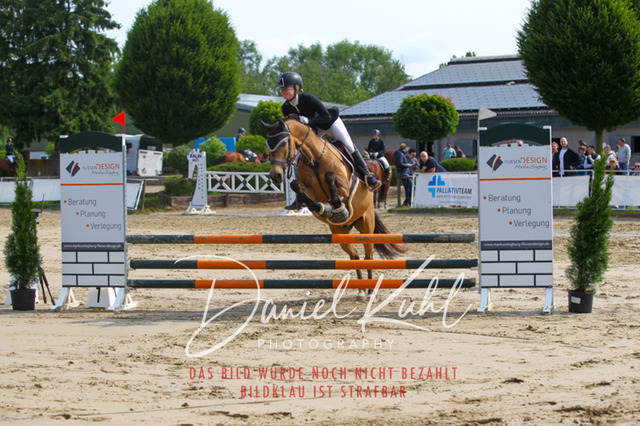 DKP41298 | Turniersportfotografie; Pferdefotografie; Dressurfotografie