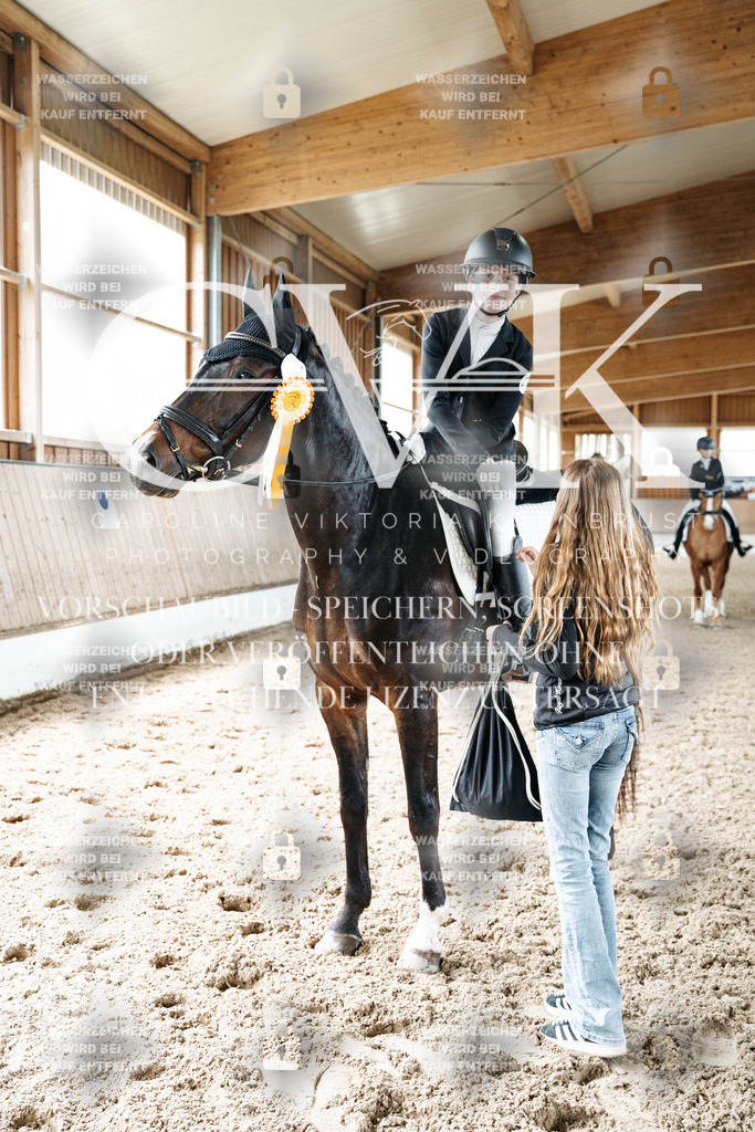 CK703354 | Turnierfotografie Pferdefotografie Trier Rheinland-Pfalz Pferdesport Reitsport Tierfotografie Sportfotografie Pferdevideo Pferdevideografie Equestrianvideography equestrianphotography  - Realisiert mit Pictrs.com