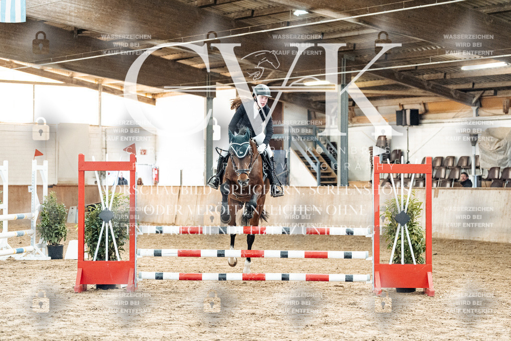 CK904316 | Turnierfotografie Pferdefotografie Trier Rheinland-Pfalz Pferdesport Reitsport Tierfotografie Sportfotografie Pferdevideo Pferdevideografie Equestrianvideography equestrianphotography  - Realisiert mit Pictrs.com
