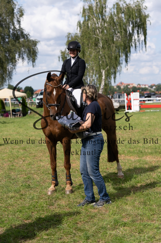 A7V04786 | Pferdefotograf