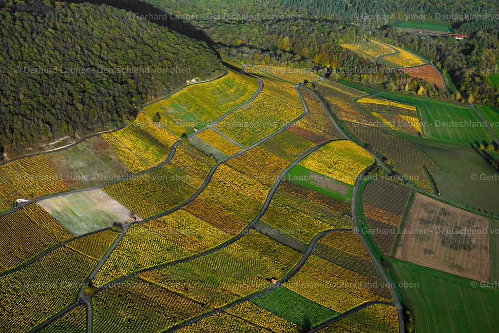 3905473 | Weinberge am Busigberg Großheubach