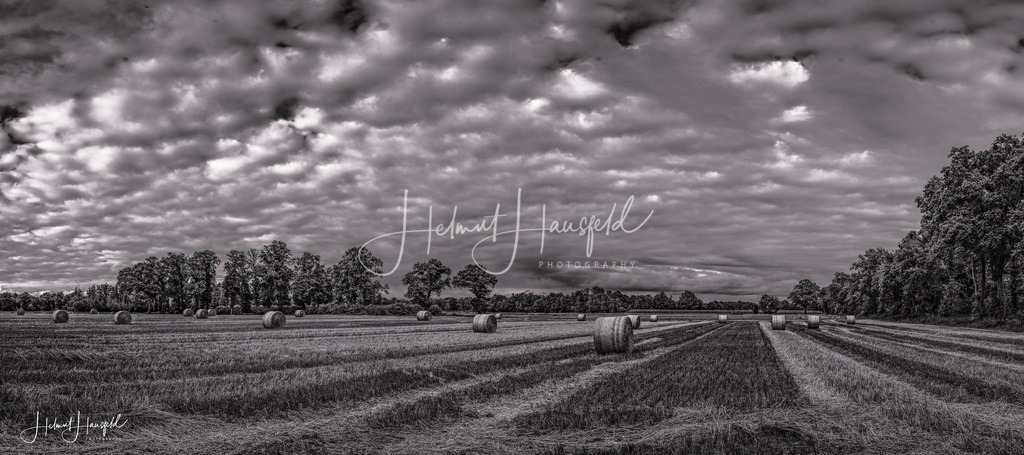 DSC01984-Panokl | Landschaftsfotografie, Naturfotografie - Realisiert mit Pictrs.com