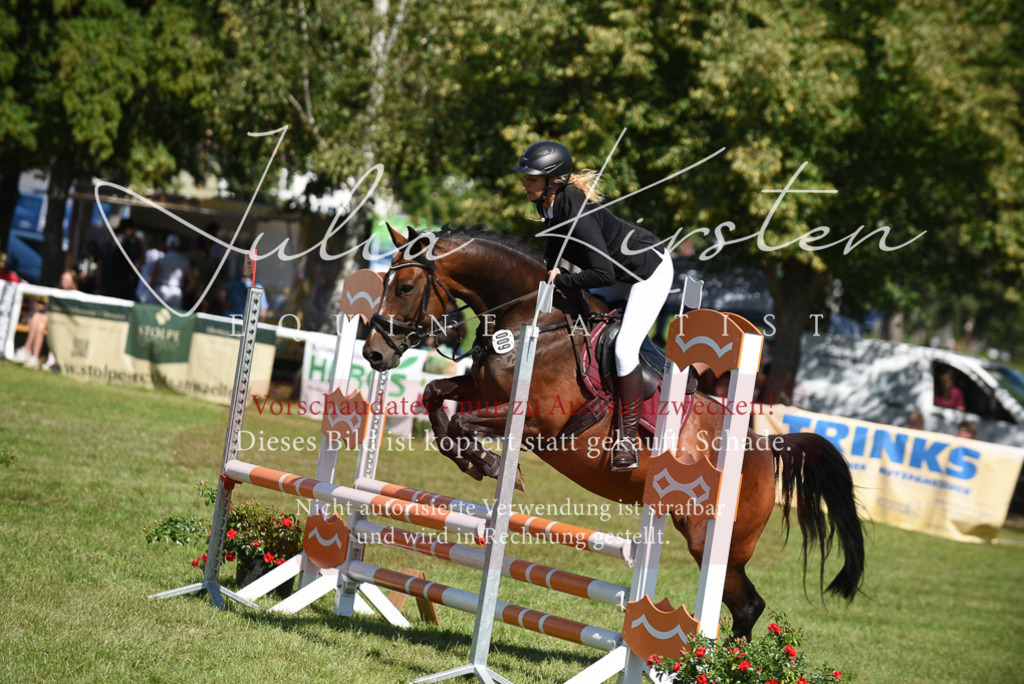 DSC_9547 | Pferde- und Turnierfotografie in Westsachsen. Pferdeportraits, Auftragszeichnungen und intuitive Kunst.