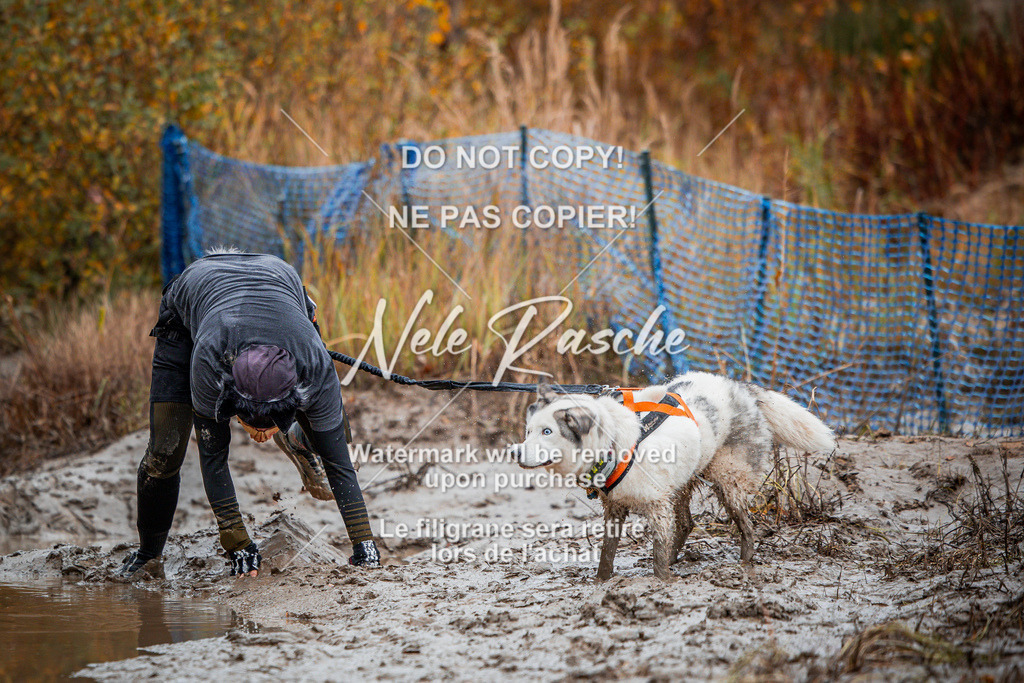 nelerasche_Creepy2025_Sa09-10_147 | nelerasche