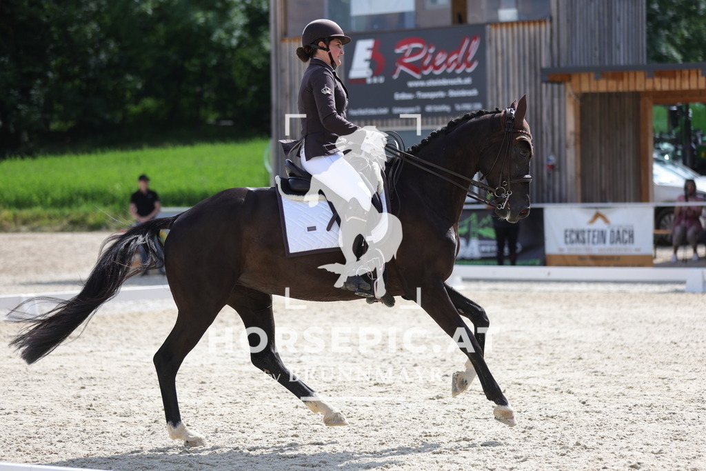 0P6A6305 | Willkommen bei Brunnmayr - Design & Fotografie – Ihrem Spezialisten für Reitturniere und Pferdeveranstaltungen in Oberösterreich, Salzburg und Bayern! Seit über 17 Jahren sind wir leidenschaftlich dabei.