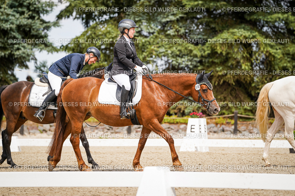 DSC04472 | Pferdegrafie