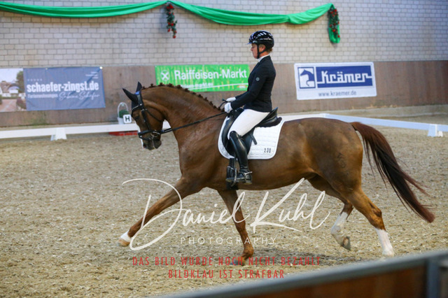 IMG_3004 | Turnierfotos kaufen im Webshop von Daniel Kuhl Photography – entdecke professionelle Reitsportfotos aus Turnieren & Events. Hochwertige Turnierbilder online bestellen & sichern. Jetzt Fotos von Reitsportturnieren kaufen!