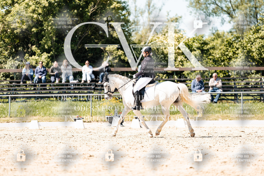 CK905531 | Turnierfotografie Pferdefotografie Trier Rheinland-Pfalz Pferdesport Reitsport Tierfotografie Sportfotografie Pferdevideo Pferdevideografie Equestrianvideography equestrianphotography  - Realisiert mit Pictrs.com
