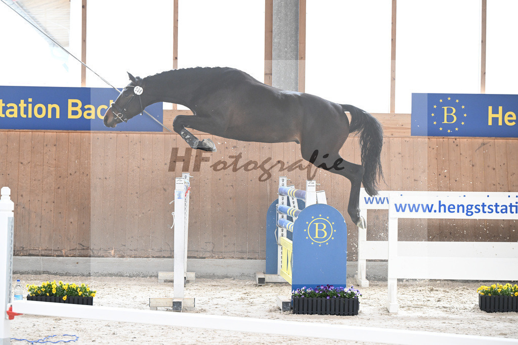 Kat-Nr. 6 Aristomacho v. Kros_Schneider_5250220 | hf-fotografie - Realisiert mit Pictrs.com
