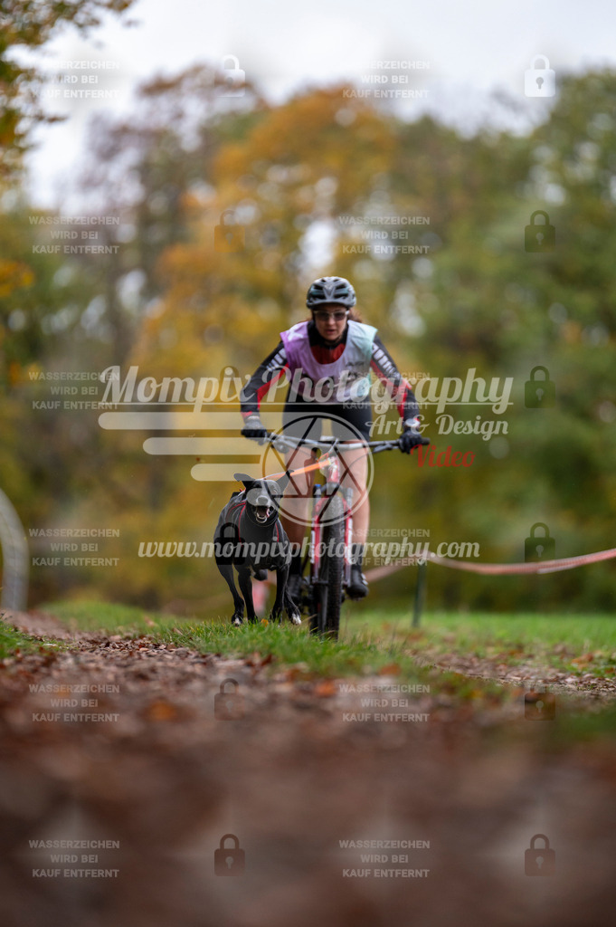 DBT_DAKM_SA_4_11_2023_Bike-56 | PayLife