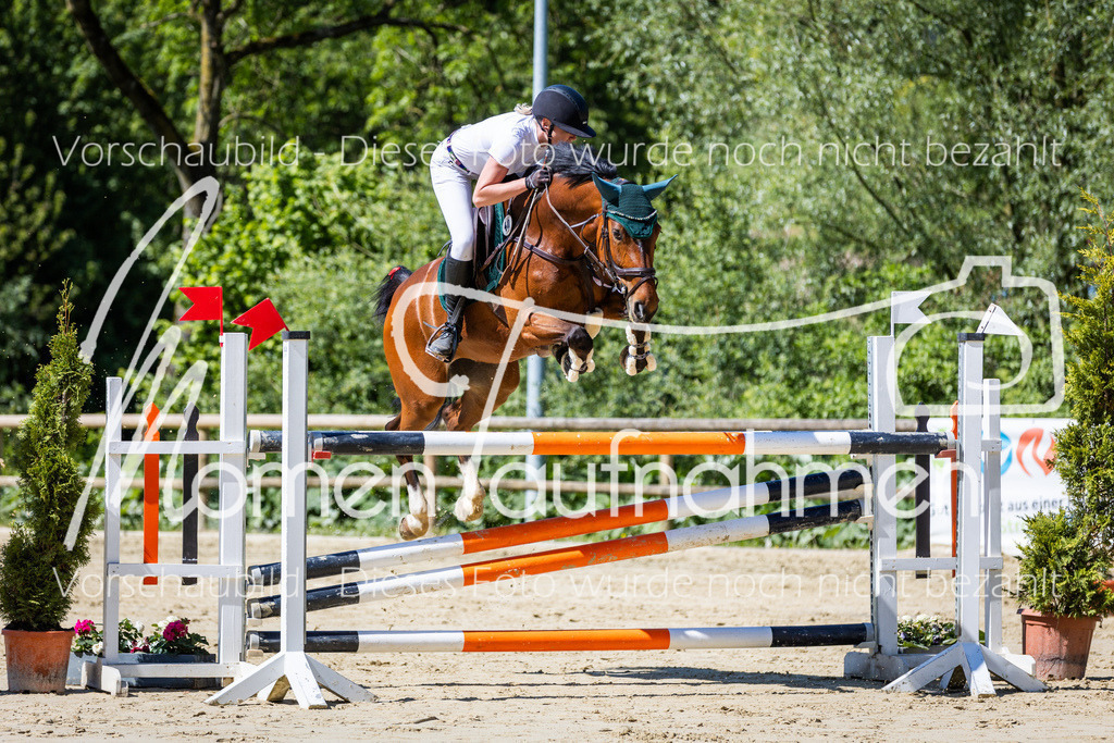 Donop24-M-Spr-019 | MomenTaufnahmen Pferdesportfotos