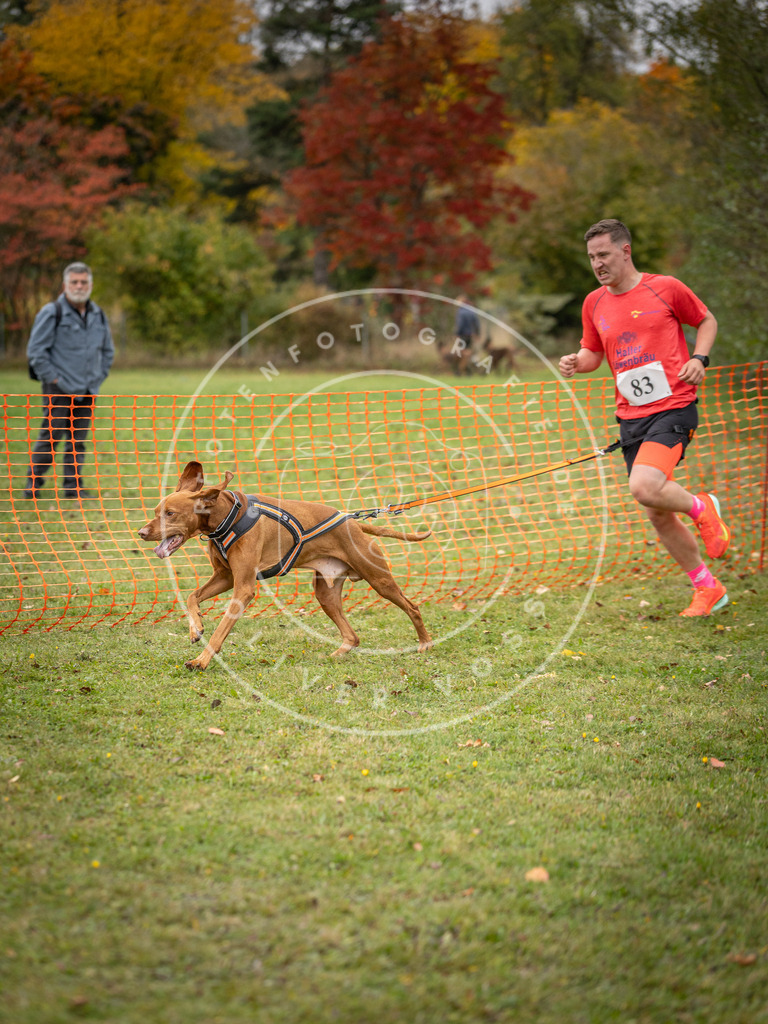 Pfotenfotografie_DV3A3108 | Hundefotografie, Tierfotograf, Pfotenfotografie, Fotoshooting Hund, Hunde Portrait, Hundesport, Hundeportraits, Heideshooting, Hunde, Sportfotograf, Hundefotograf, Turnierhundsport, THS,  - Realisiert mit Pictrs.com