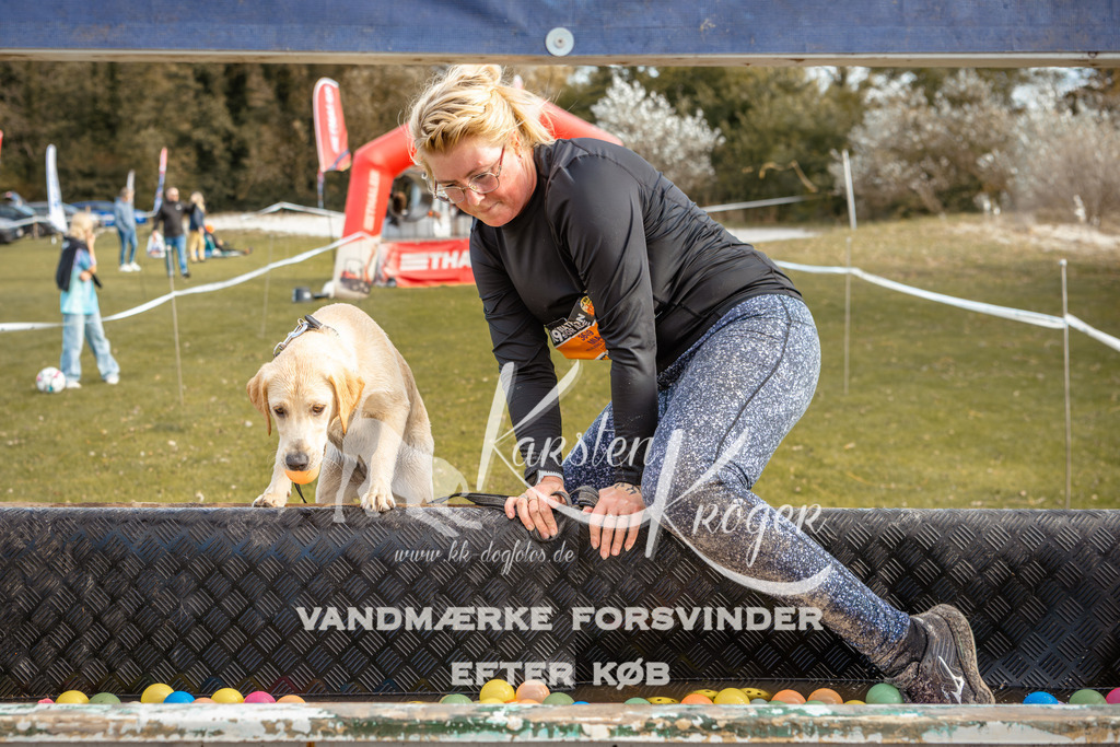 1526_ZZ96699 | kk-dogfotos