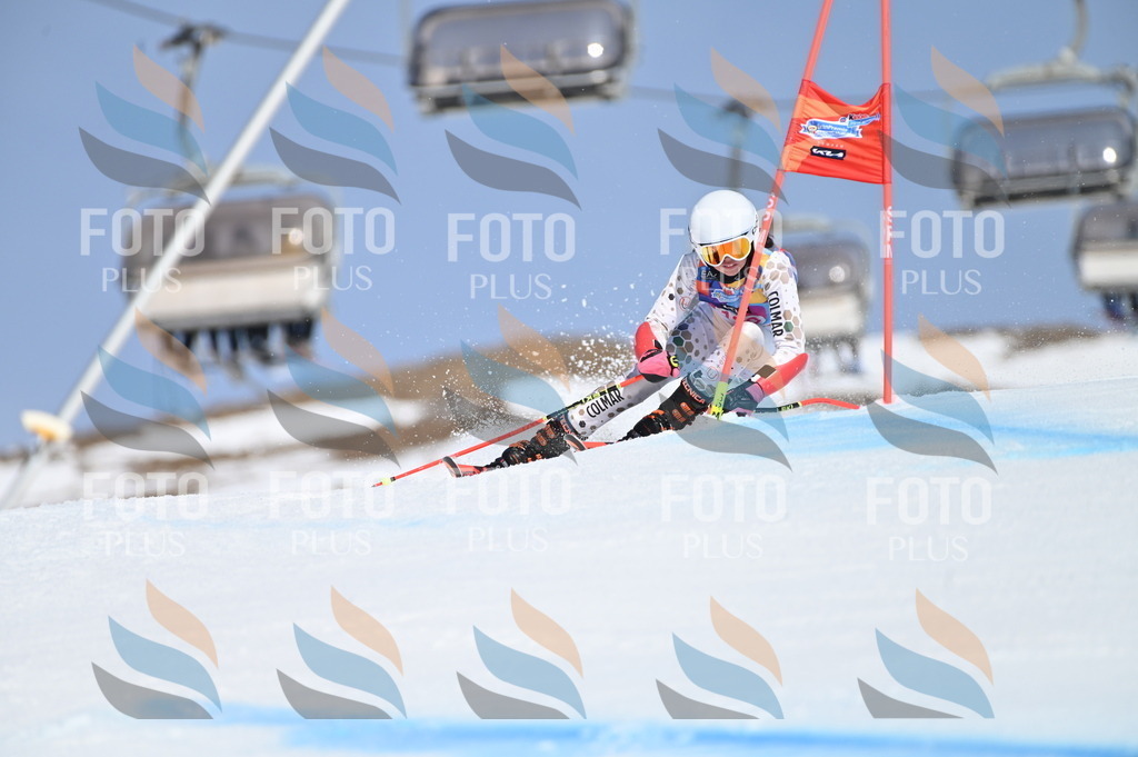 BGV_9940 | holidayphoto