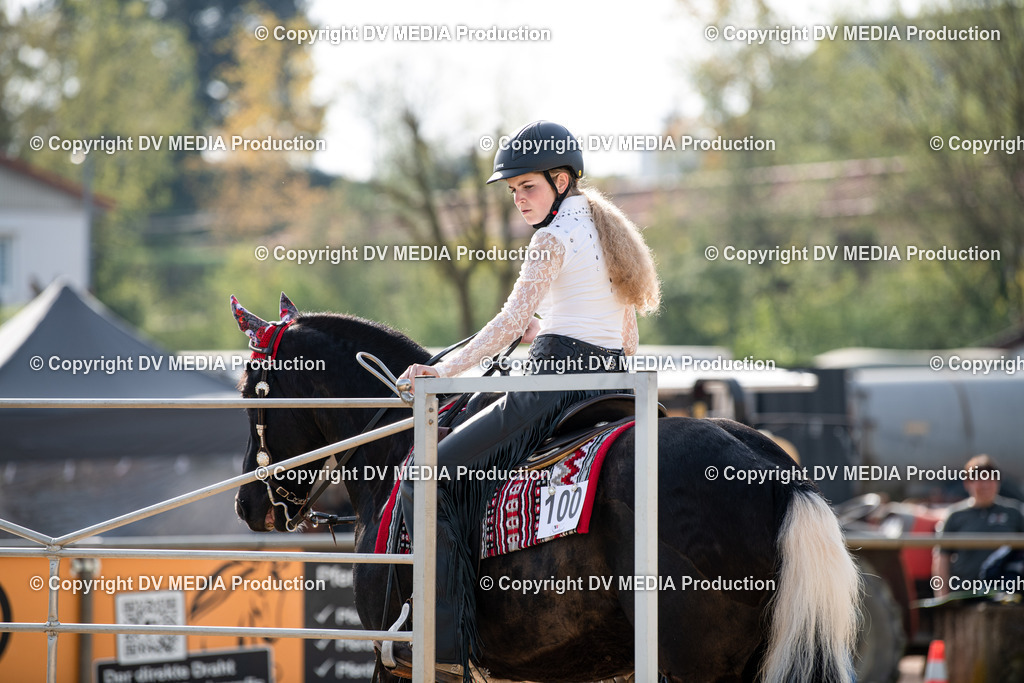 Heiligenwald Tag 2-76 | dv-media-shop - Realisiert mit Pictrs.com