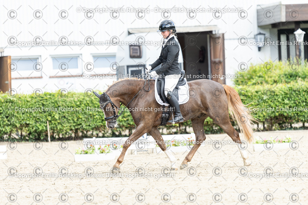 CL5A4539-2 | Emilia Reinking Fotografie - Realisiert mit Pictrs.com