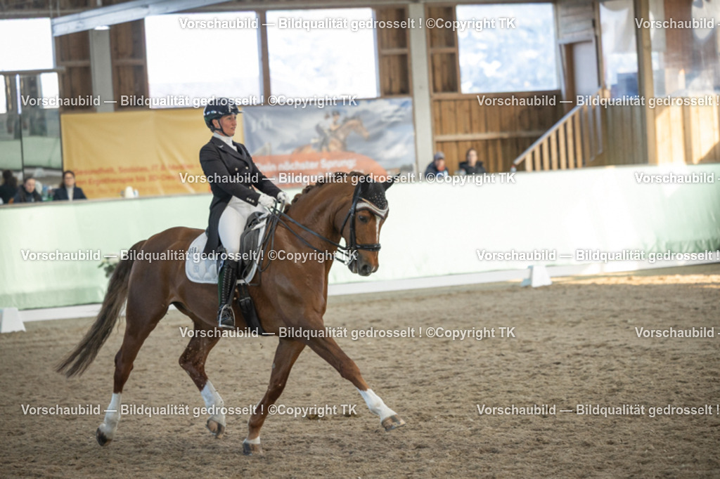 _D5A0831 | Emotionale Pferde- & People-Fotografie rund um Heidelberg, Leimen & Umgebung. Natürliche Fotos von Pferd, Mensch & Familie. Jetzt Termin sichern!