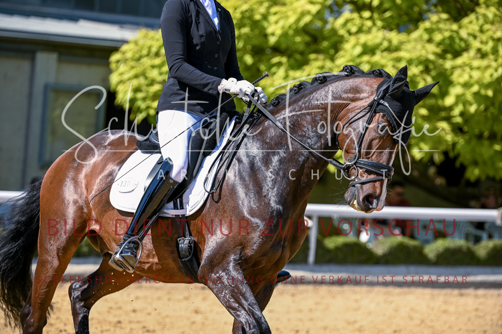 Schugtsche-Aluta25-50.Dressurpferdeprf.L-63 | Schugtsche Fotografie - Realisiert mit Pictrs.com
