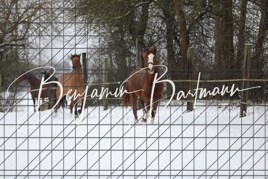 AZ2A3292 | Benjamin Bartmann Photomoments