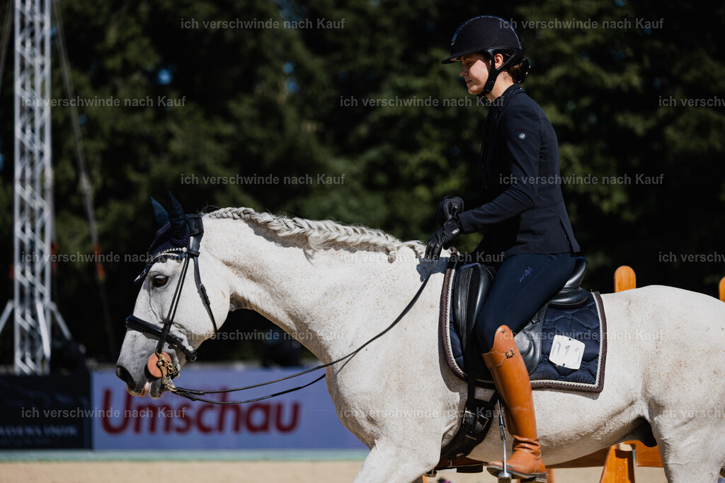 Svea13FHC2025-27389 | working equitationturnier fotograf videograf stoibphotography marixx film working equitation deutschland reitsport turnierfotografie eventfotografie equestrian events