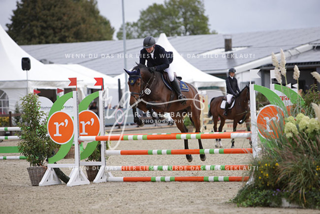 1J2A1812Claas Hermann Romeike_ My Way 42_ Kn764_ Havekost | Foto- und Videografie für alles rund ums Pferd. Hochwertige Bilder und Videos vom Spring- und Dressurreiten, Voltigieren & mehr. Jetzt aktuelle Veranstaltungen und Preise im Shop ansehen. - Realisiert mit Pictrs.com