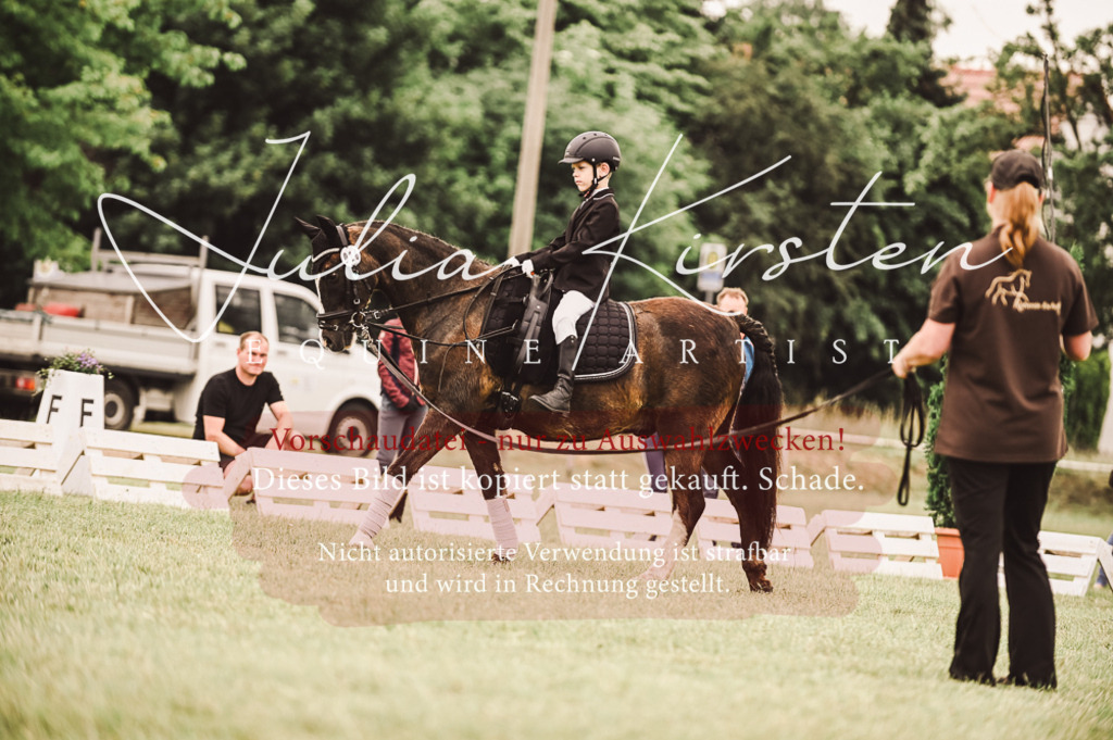 DSC_5293 | Pferde- und Turnierfotografie in Westsachsen. Pferdeportraits, Auftragszeichnungen und intuitive Kunst.