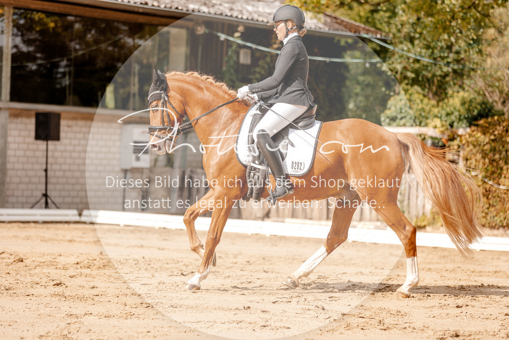 3I6A3548 | Stimmungsvolle Portraits und Reitsportfotografie im Ruhrgebiet und im Münsterland.

Pferdefotografie, Hundefotografie, Tierfotografie, Reportagen, Portraits von Tier und Mensch, Turnierfotografie in Bochum, Recklinghausen, Marl, Haltern am See, Dülmen.. - Realisiert mit Pictrs.com