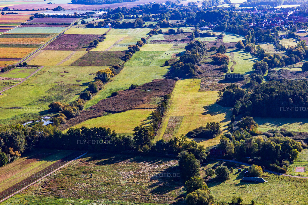 Luftbild: Naturschutzgebiet Billigheimer Bruch von Westen im Ortsteil Mühlhofen in Billigheim-Ingenheim im Bundesland Rheinland-Pfalz in Deutschland. Foto: IMG_138982.jpg vom 24.09.2023 durch Werner Riehm/FLY-FOTO.de