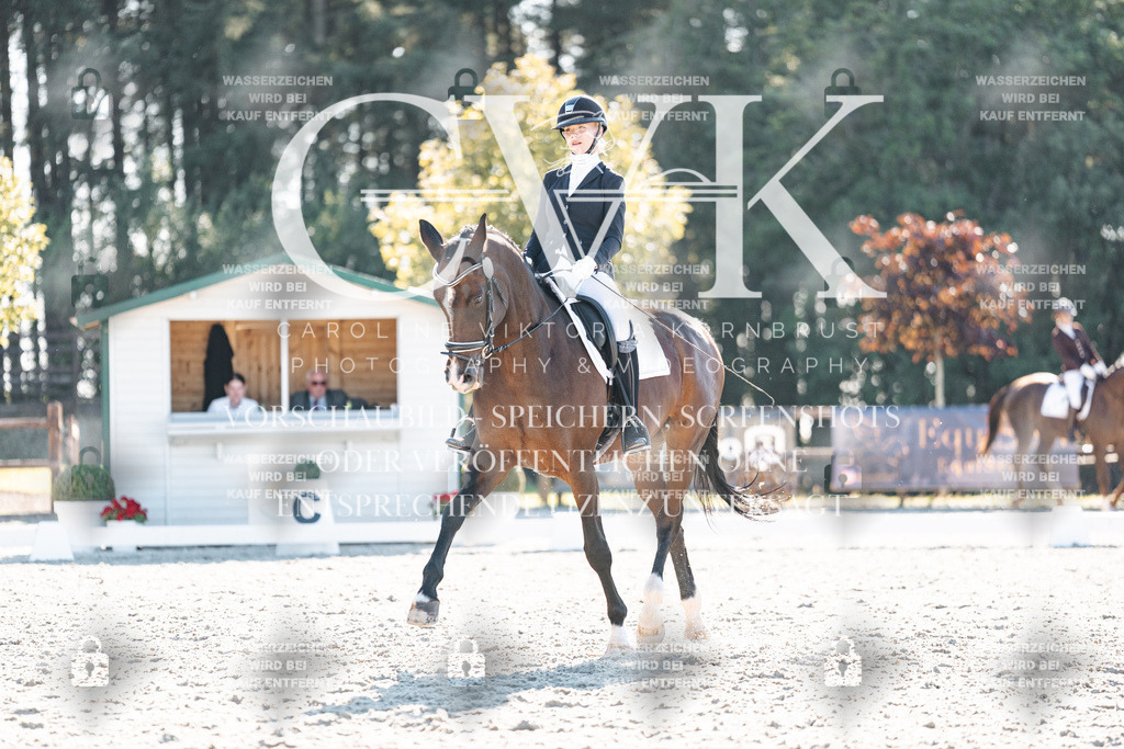 CK906479 | Turnierfotografie Pferdefotografie Trier Rheinland-Pfalz Pferdesport Reitsport Tierfotografie Sportfotografie Pferdevideo Pferdevideografie Equestrianvideography equestrianphotography  - Realisiert mit Pictrs.com