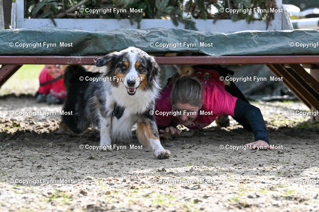 DSC_6334 | Hallo und herzlich Willkommen auf meiner Shop-Seite Fynn Most.

Ich wünsche Dir viel Spaß beim stöbern durch die Bilder, wenn Du Fragen hast oder Bilder vermisst, kannst du mir gerne eine Nachricht schreiben. - Realisiert mit Pictrs.com