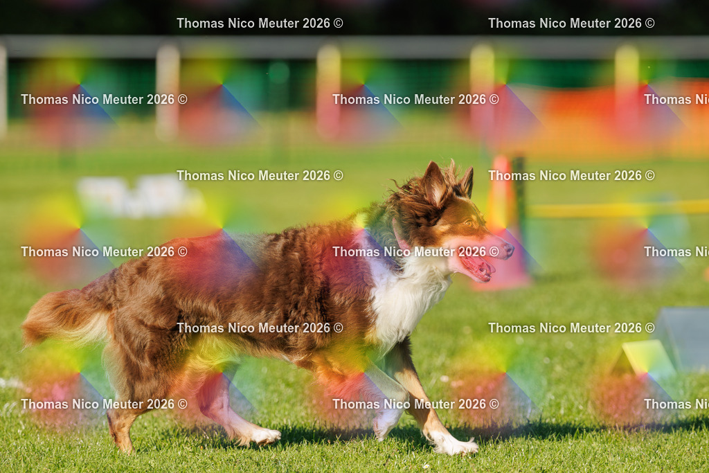 Thomas_Nico_Meuter(C)_04. Oktober 2026_223A3864 | Bild von Thomas Nico Meuter - Realisiert mit Pictrs.com