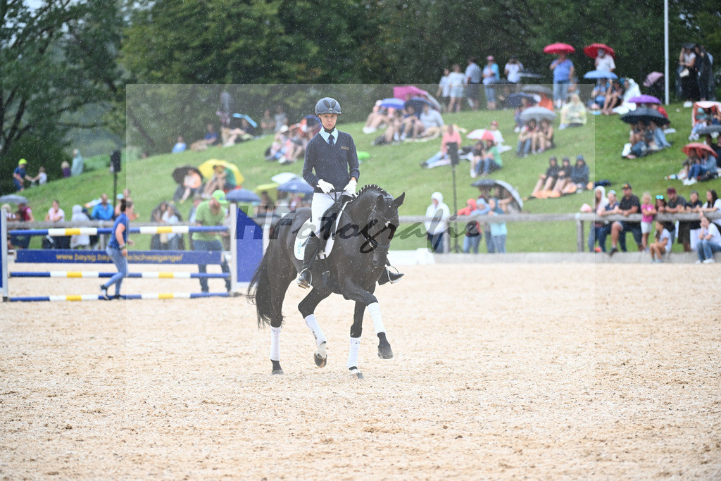 Sparten des Reitsports aus der eigenen Zucht_36240931 | hf-fotografie - Realisiert mit Pictrs.com