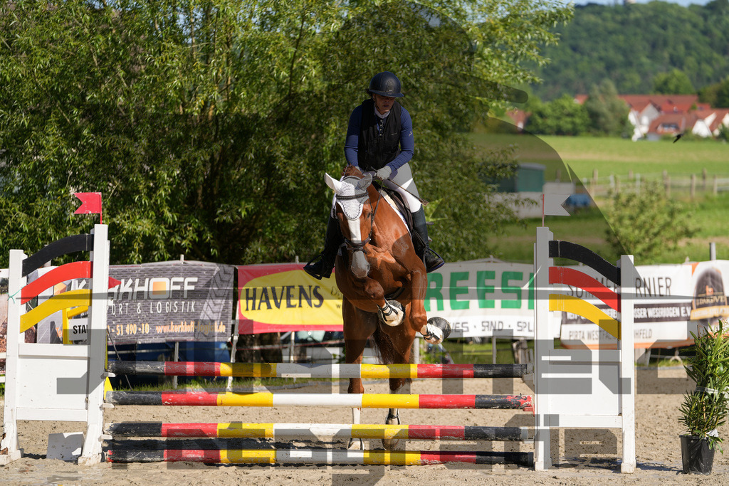 DSC02054 | Julian Held Fotografie - Realisiert mit Pictrs.com