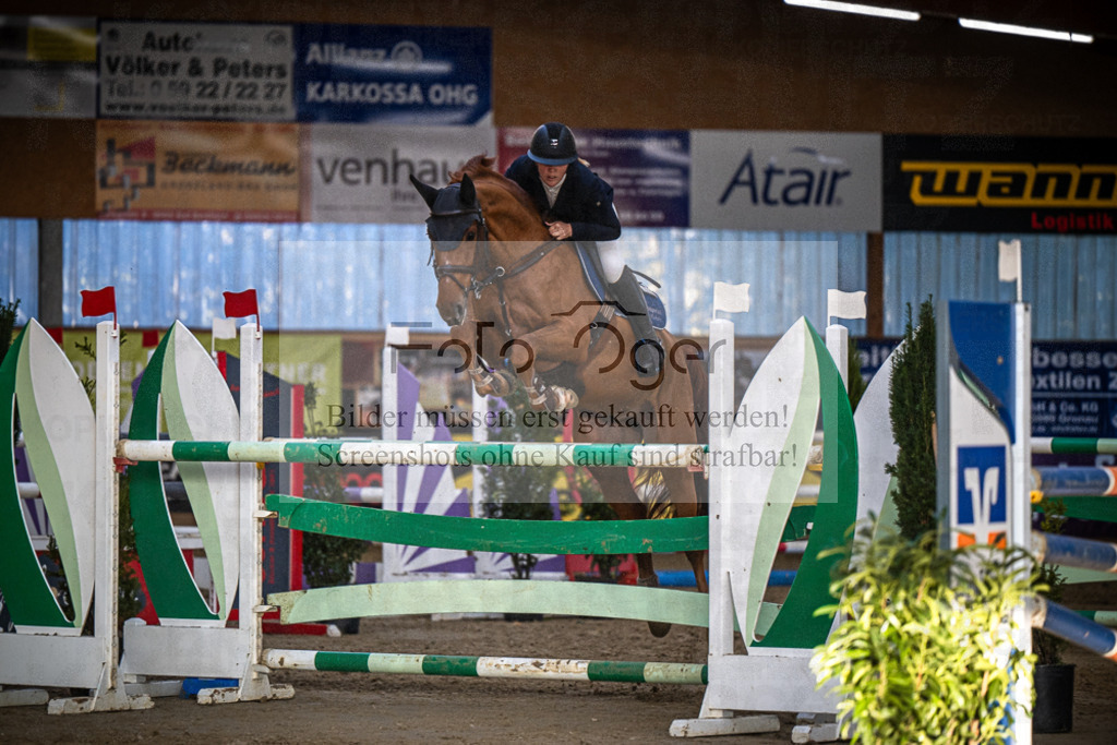DOS_3442 | Entdecke hochwertige Reitturnierfotos von Foto Oger. Professionell, emotional und authentisch – jetzt Lieblingsmomente im Shop bestellen.Deutschlandweite Turnierfotografie. - Realisiert mit Pictrs.com
