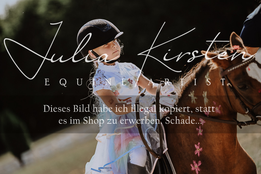 DSC_9150 | Pferde- und Turnierfotografie in Westsachsen. Pferdeportraits, Auftragszeichnungen und intuitive Kunst.