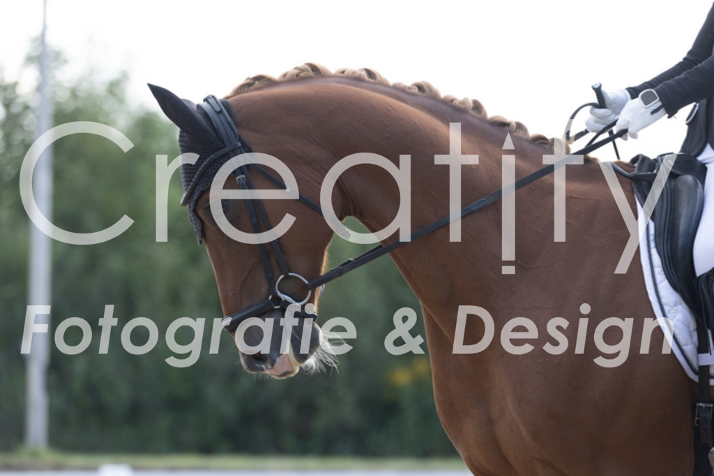 IMG_9786 | Creatify Fotografie