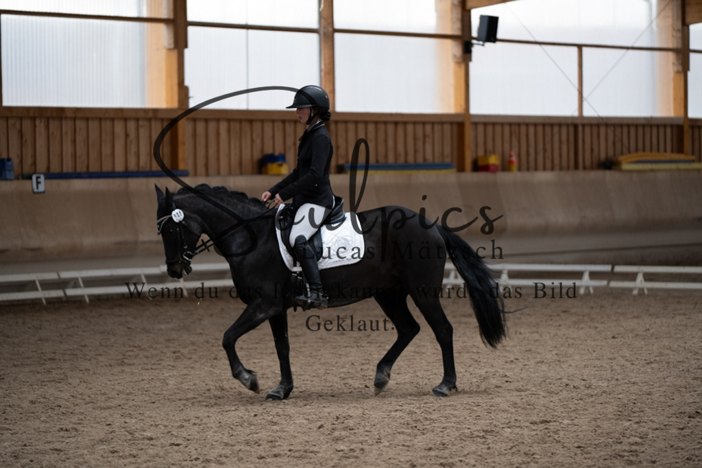 A7V09755 | Pferdefotograf