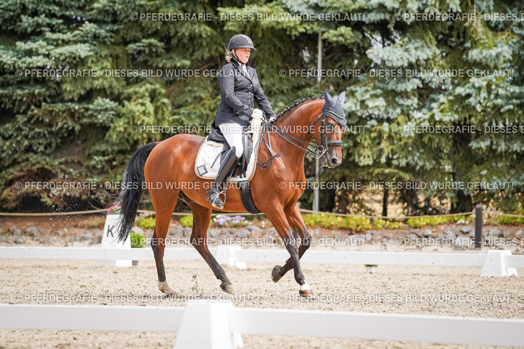 DSC03401 | Pferdegrafie