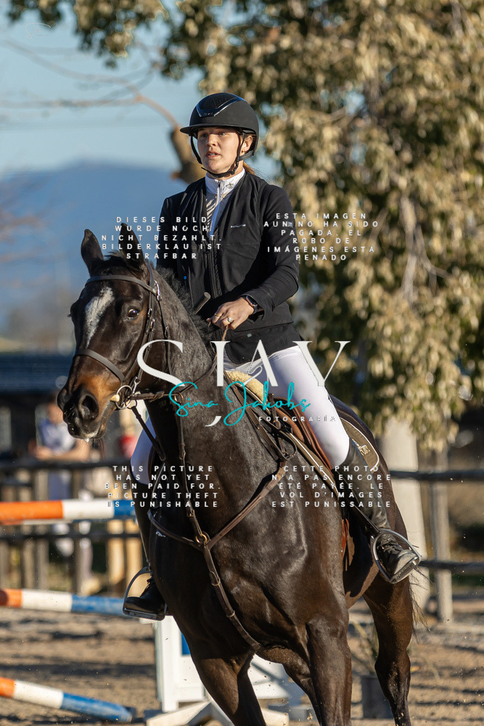 IMG_2338 | s-jay-photography - Realisiert mit Pictrs.com