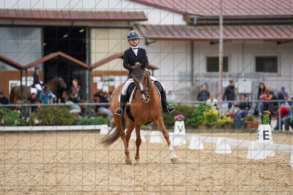 20240825-FAH09966 | Turnierbilder, Reitsportfotos, LAPO, Landesponyturnier, Turnierfotografen Bayern