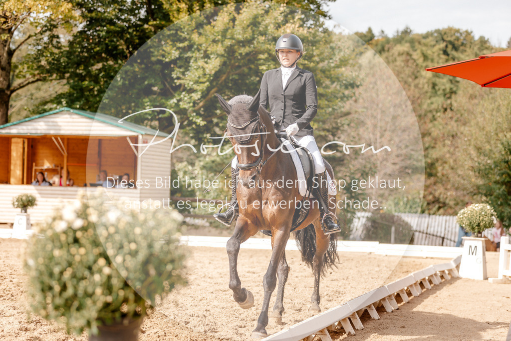 3I6A4240 | Stimmungsvolle Portraits und Reitsportfotografie im Ruhrgebiet und im Münsterland.

Pferdefotografie, Hundefotografie, Tierfotografie, Reportagen, Portraits von Tier und Mensch, Turnierfotografie in Bochum, Recklinghausen, Marl, Haltern am See, Dülmen.. - Realisiert mit Pictrs.com