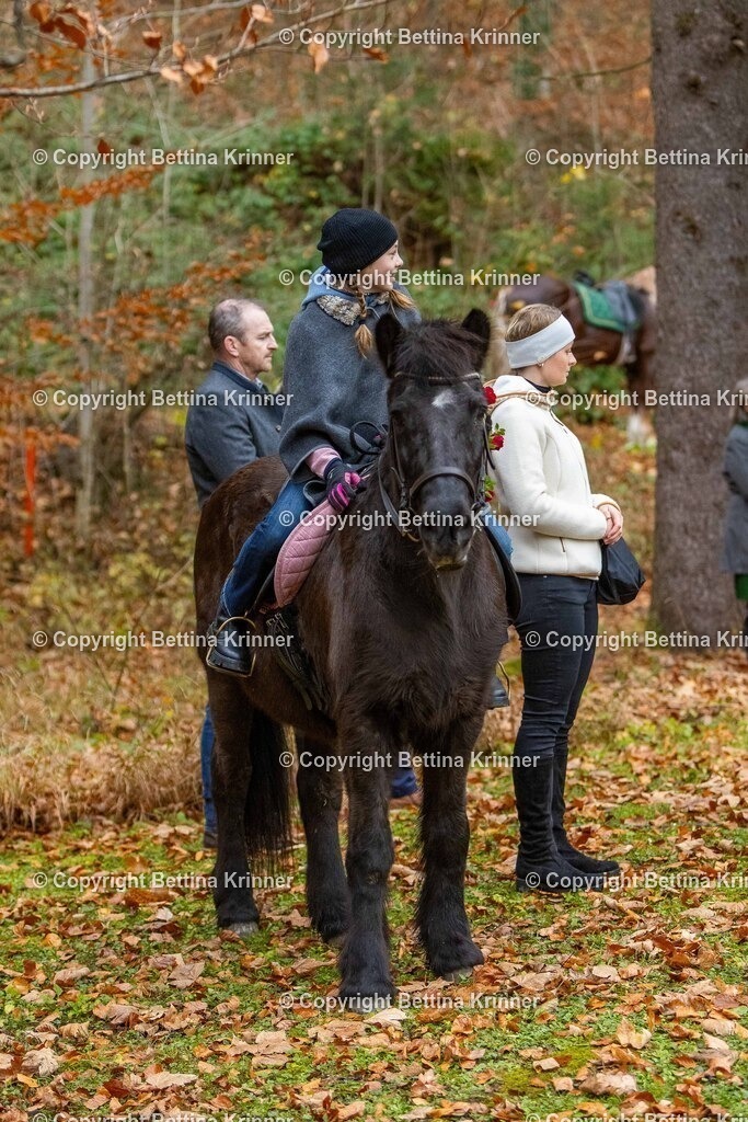 LL25-177 | foto-bettina-krinner - Realisiert mit Pictrs.com