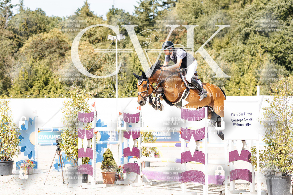 CK905131 | Turnierfotografie Pferdefotografie Trier Rheinland-Pfalz Pferdesport Reitsport Tierfotografie Sportfotografie Pferdevideo Pferdevideografie Equestrianvideography equestrianphotography  - Realisiert mit Pictrs.com